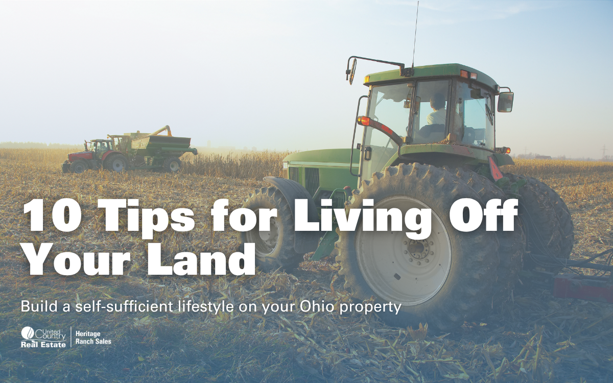 10 Tips for Living Off Your Land